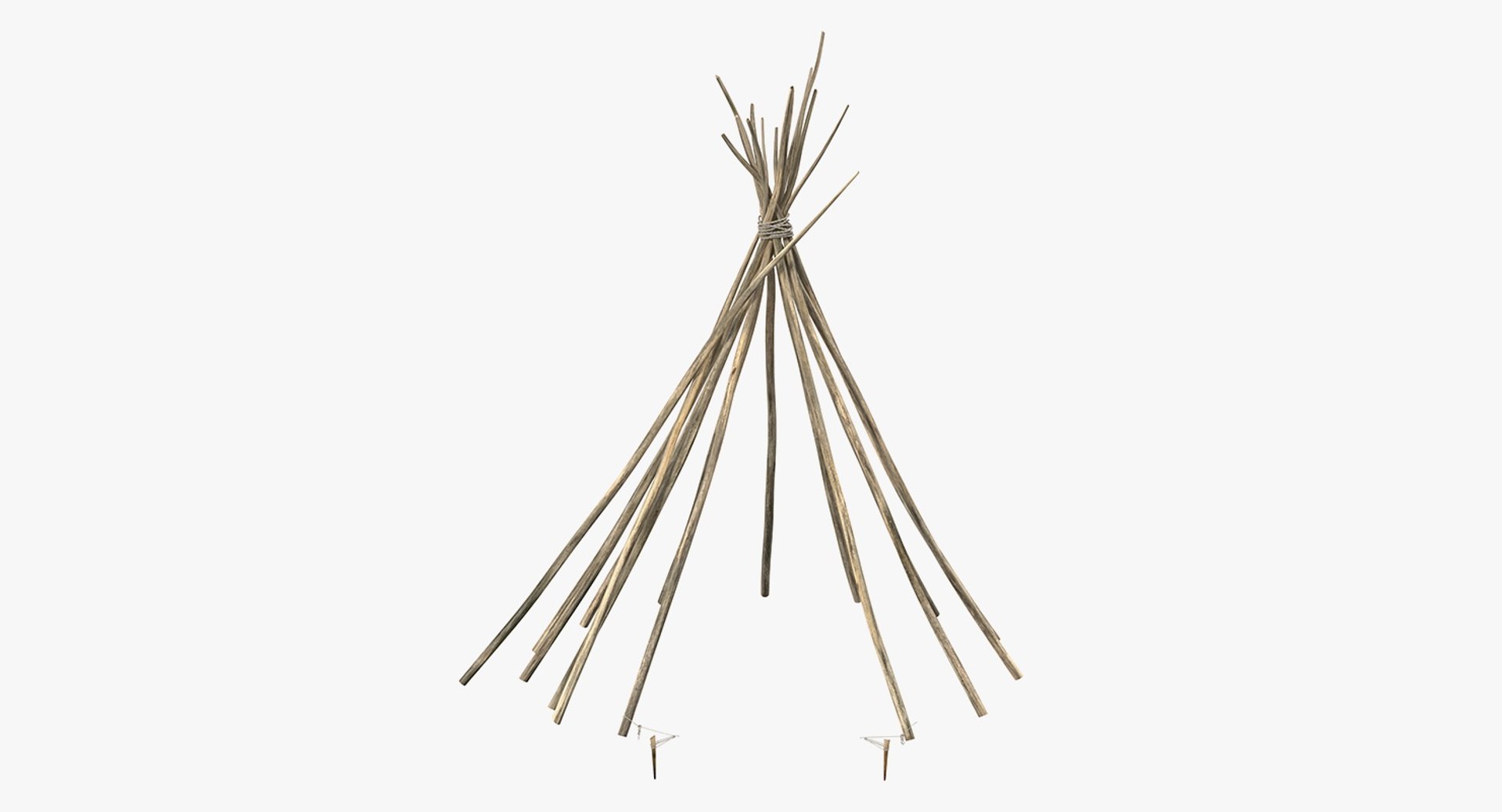 Tipi Poles 3D model preview