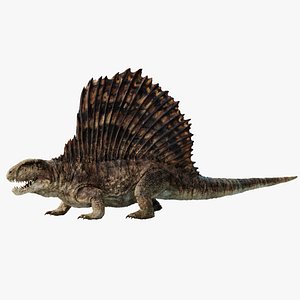 3D Dimetrodon Rigged 3D