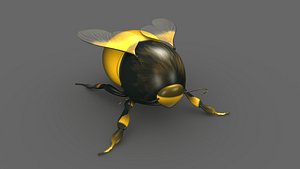 Bumble bees 3D