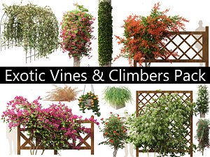 3D model Exotic Vines Climbers Pack 37