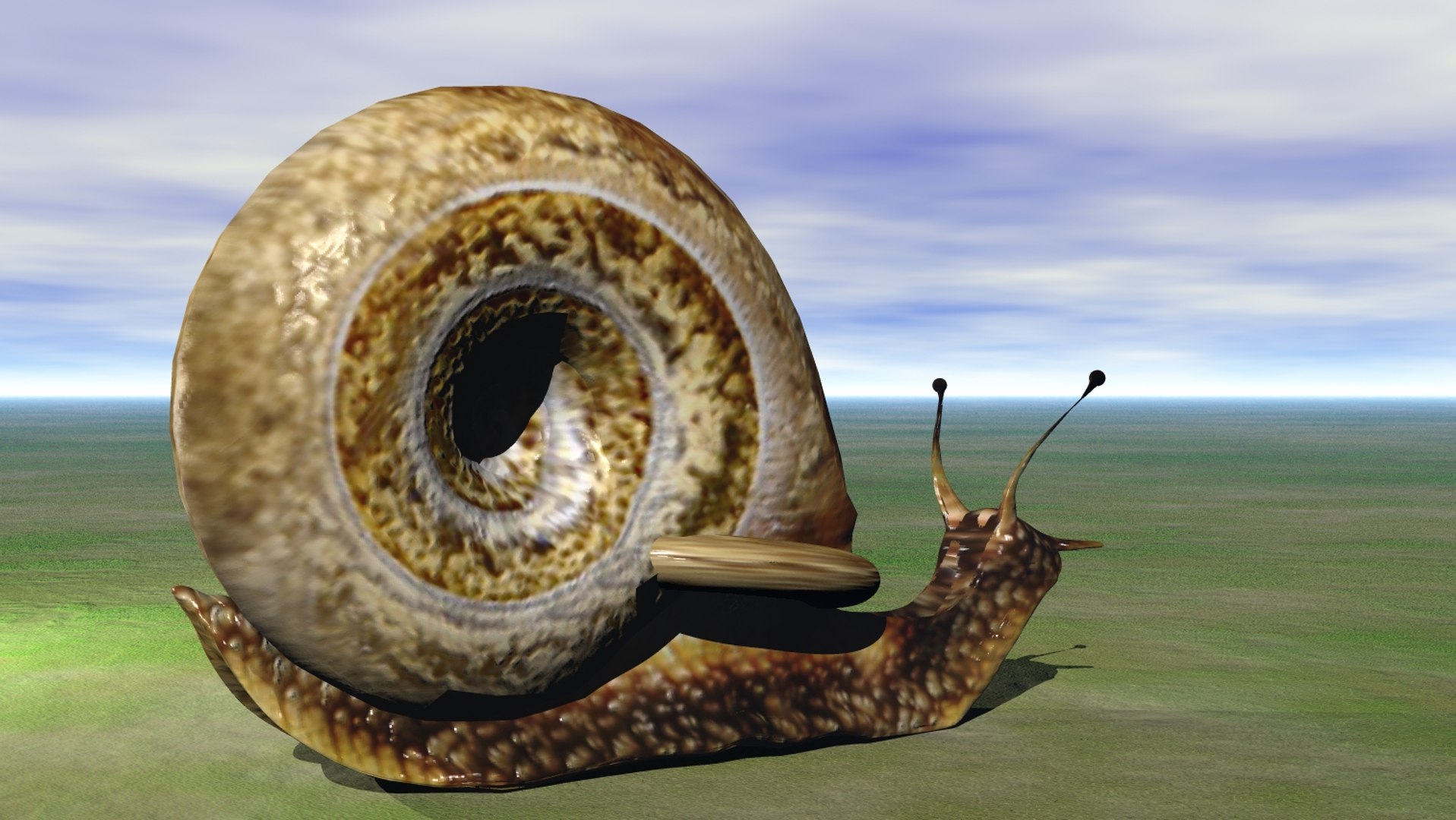 3d snail model