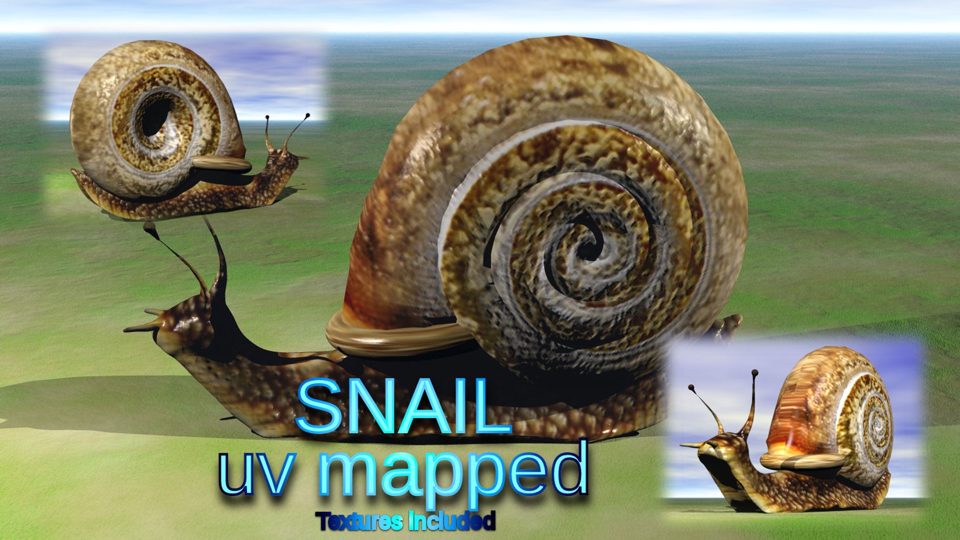 3d snail model