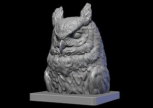 3D model Owl head