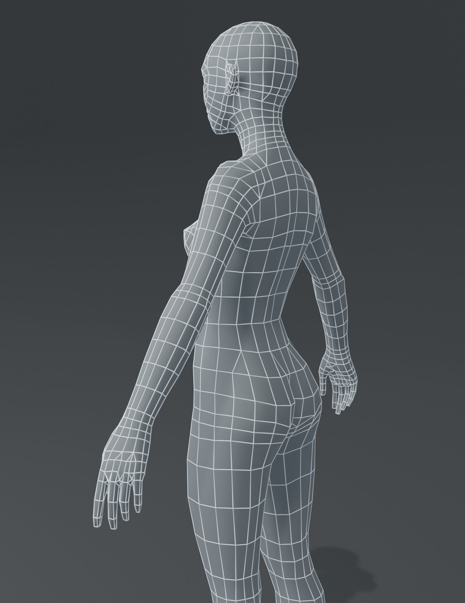 3D Male and Female Body Base Mesh 3D Model model - TurboSquid 1774957
