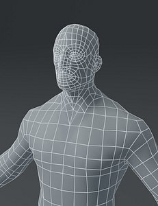 3D Male and Female Body Base Mesh 3D Model model