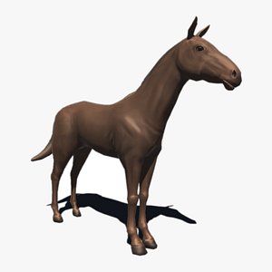 3D horse animations model