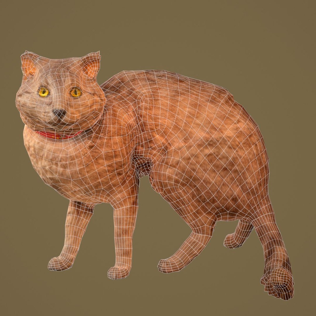 3D Model Animal Digital Photogrammetry - TurboSquid 1163020