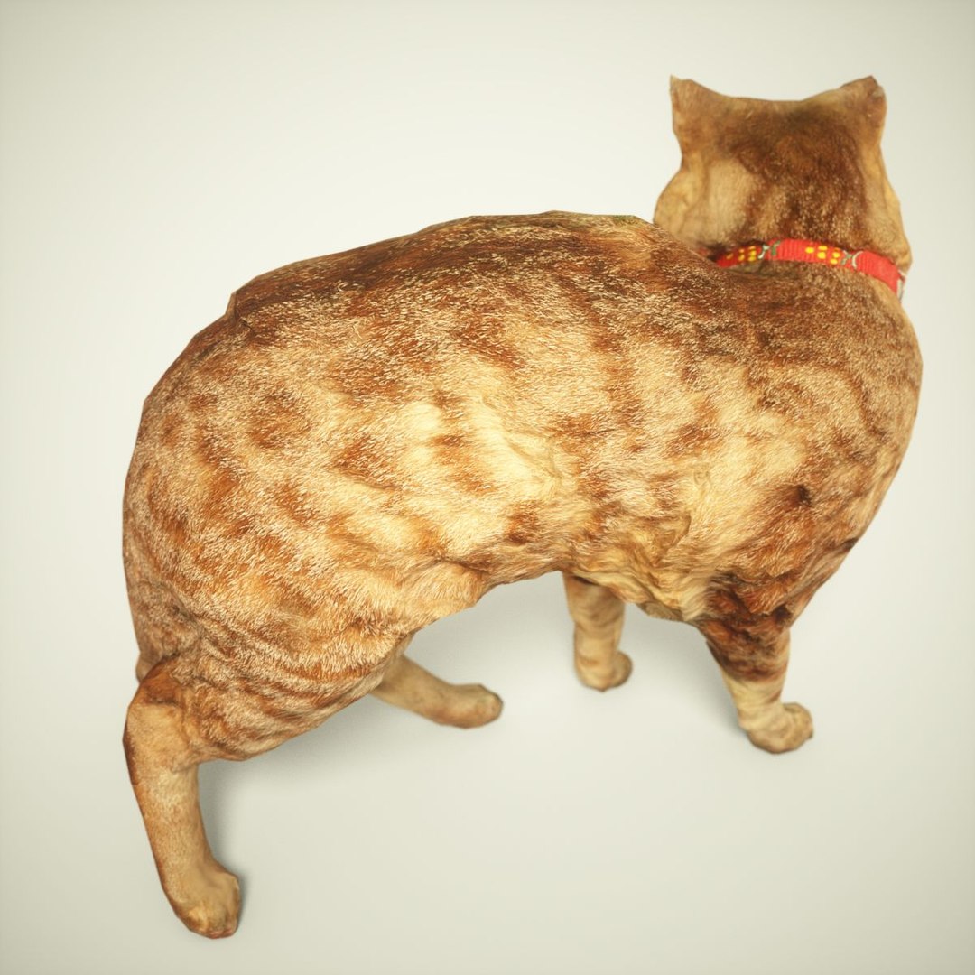 3D Model Animal Digital Photogrammetry - TurboSquid 1163020