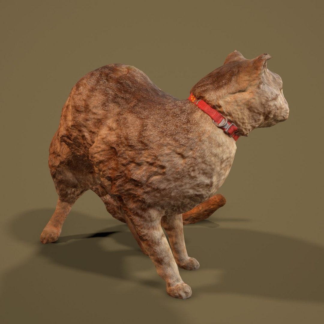3D Model Animal Digital Photogrammetry - TurboSquid 1163020