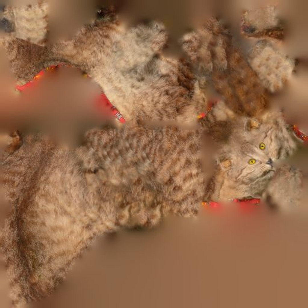 3D Model Animal Digital Photogrammetry - TurboSquid 1163020