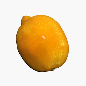Lemon 3D Scan High Quality 3D model