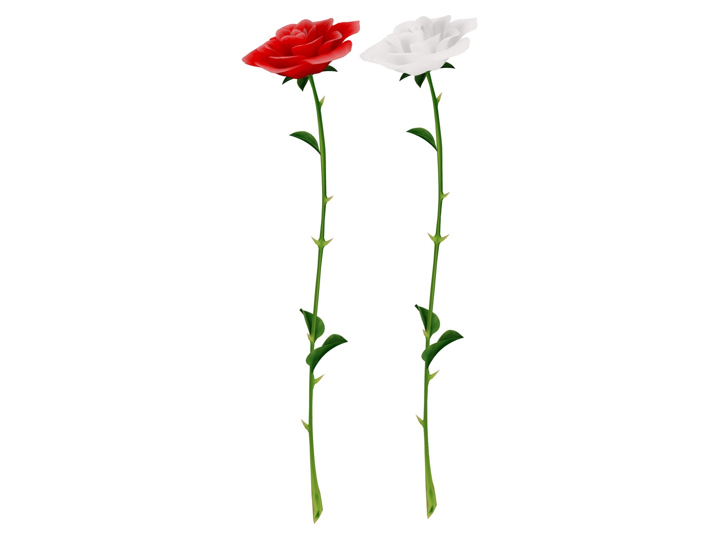 Open Bud Single Rose 3D Model - TurboSquid 1537625