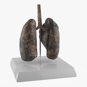 Medical Lung Prop Smokers Variant