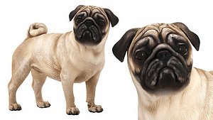 Pug dog figurine 3D model