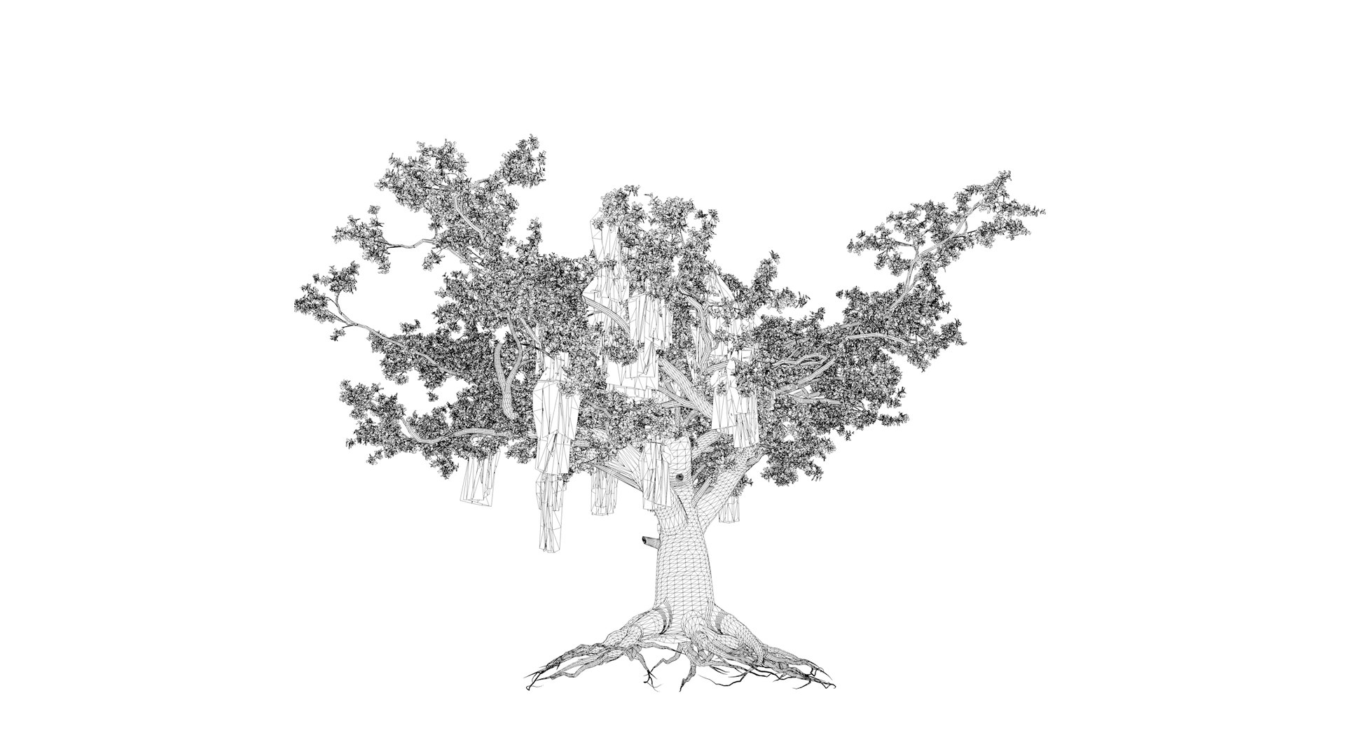 3D Live Oak Tree - 10 - - TurboSquid 2376803