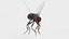 Common Fly - Animated Flying