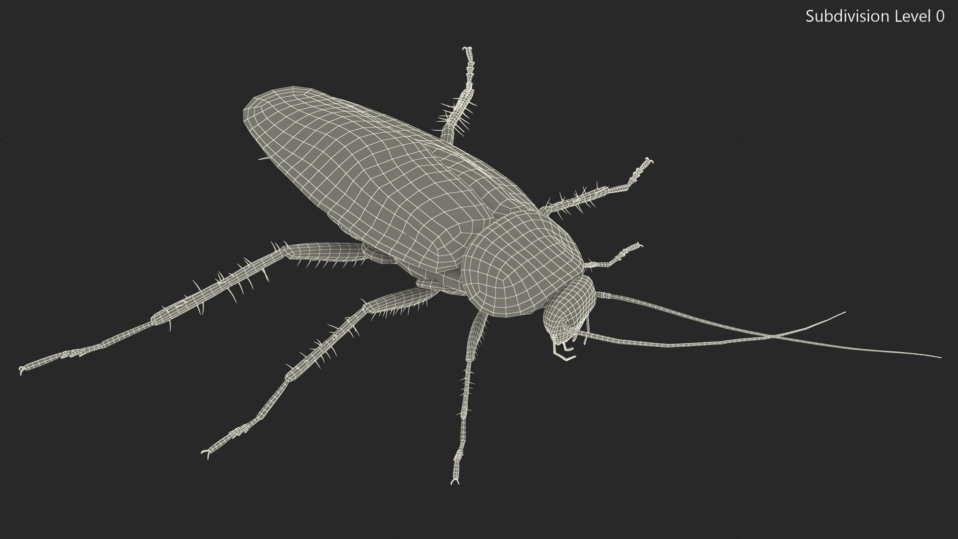 3D model Red Flying Cockroach Rigged for Maya https://p.turbosquid.com/ts-thumb/kd/Lfh03O/1F/redflyingcockroachriggedformaya3dsmodel026/jpg/1685584168/1920x1080/fit_q87/6f3bb157b795192fca06b32ad7ab7197637450d3/redflyingcockroachriggedformaya3dsmodel026.jpg