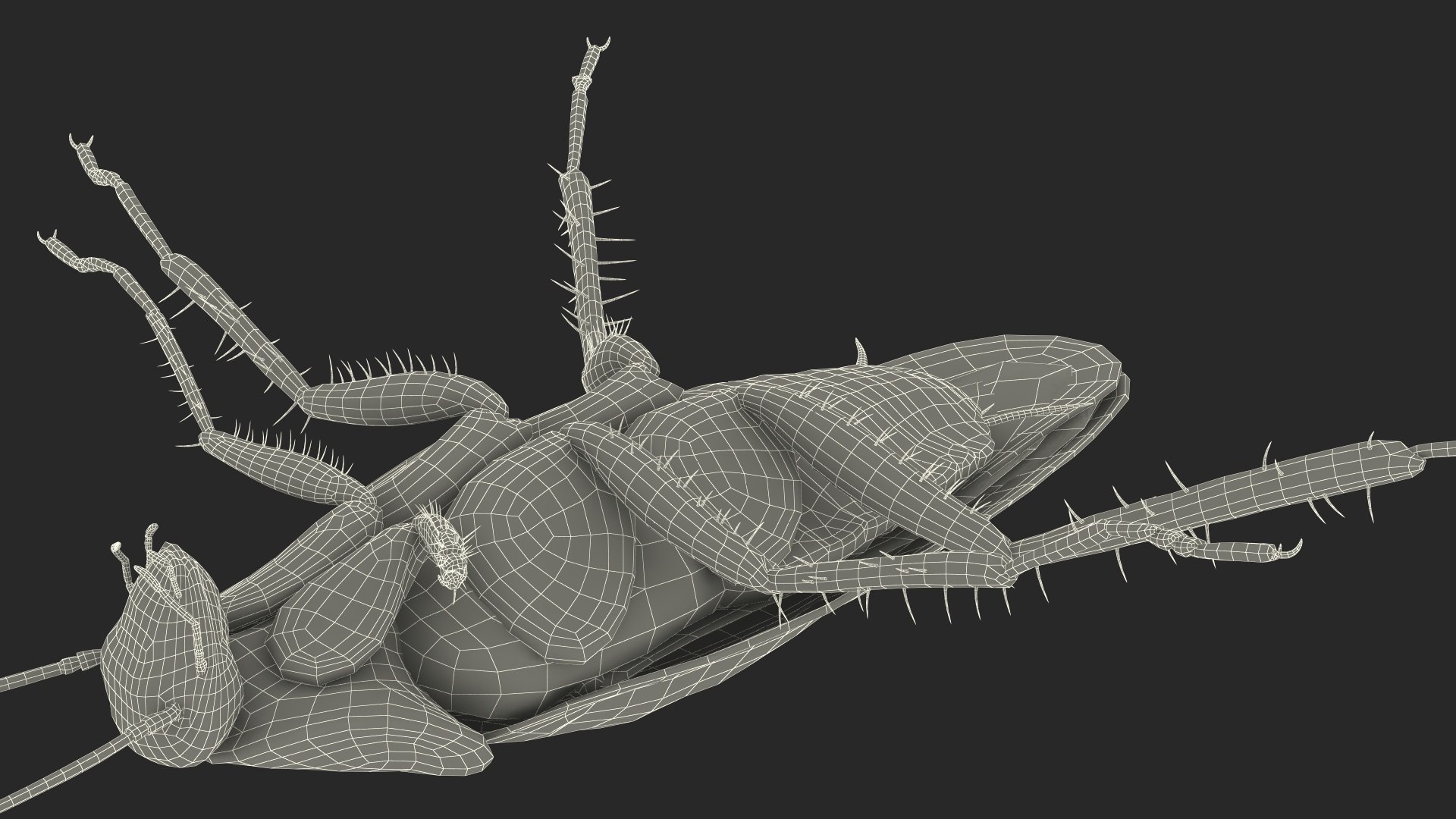 3D model Red Flying Cockroach Rigged for Maya https://p.turbosquid.com/ts-thumb/kd/Lfh03O/6Y/redflyingcockroachriggedformaya3dsmodel035/jpg/1685584196/1920x1080/fit_q87/058bda39d5cb5dbce61432fb7f53c821d2e6d467/redflyingcockroachriggedformaya3dsmodel035.jpg