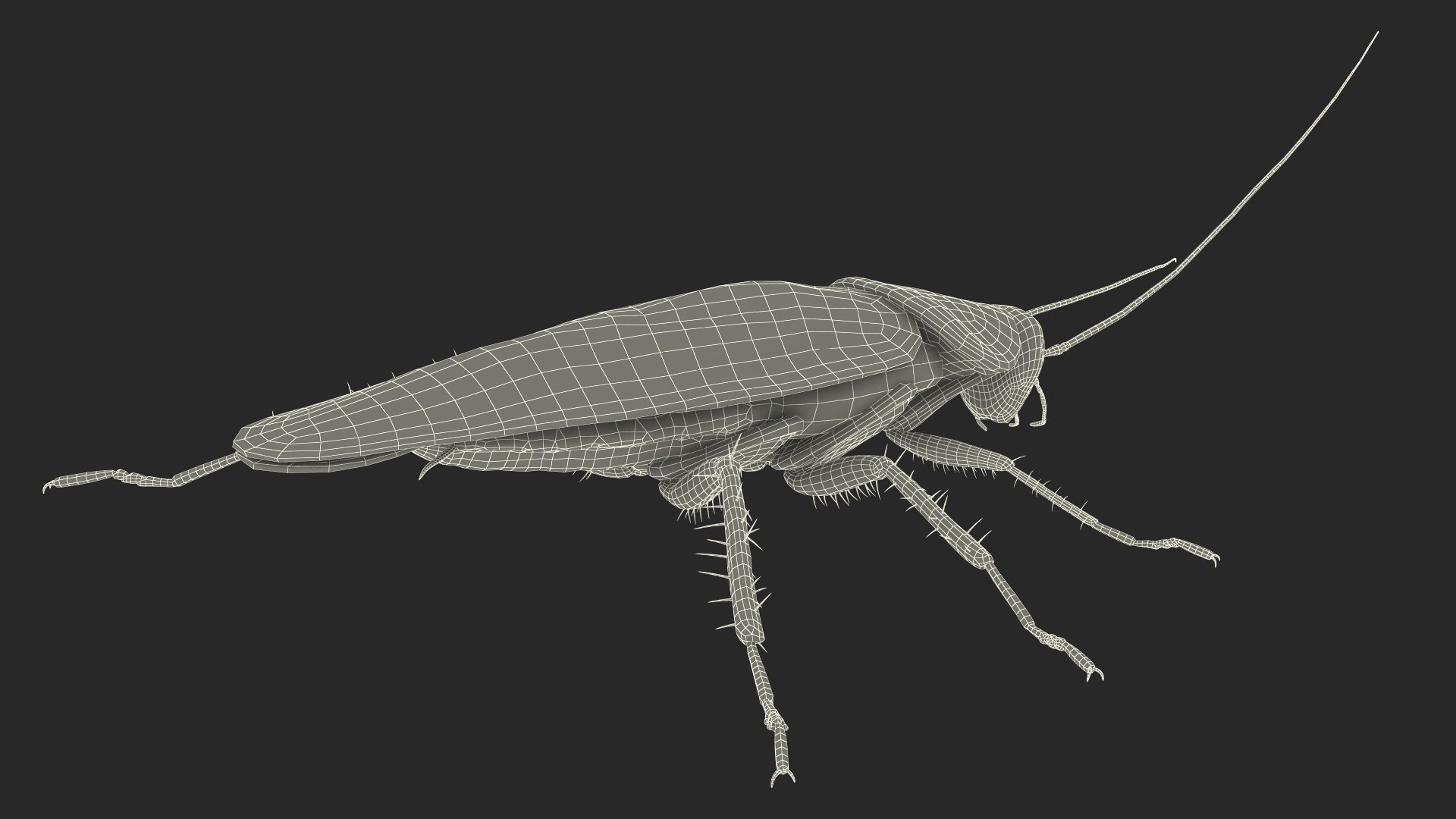 3D model Red Flying Cockroach Rigged for Maya https://p.turbosquid.com/ts-thumb/kd/Lfh03O/6s/redflyingcockroachriggedformaya3dsmodel032/jpg/1685584186/1920x1080/fit_q87/ef84b19918e9ae84fd7b8b89608571ad75b7abca/redflyingcockroachriggedformaya3dsmodel032.jpg
