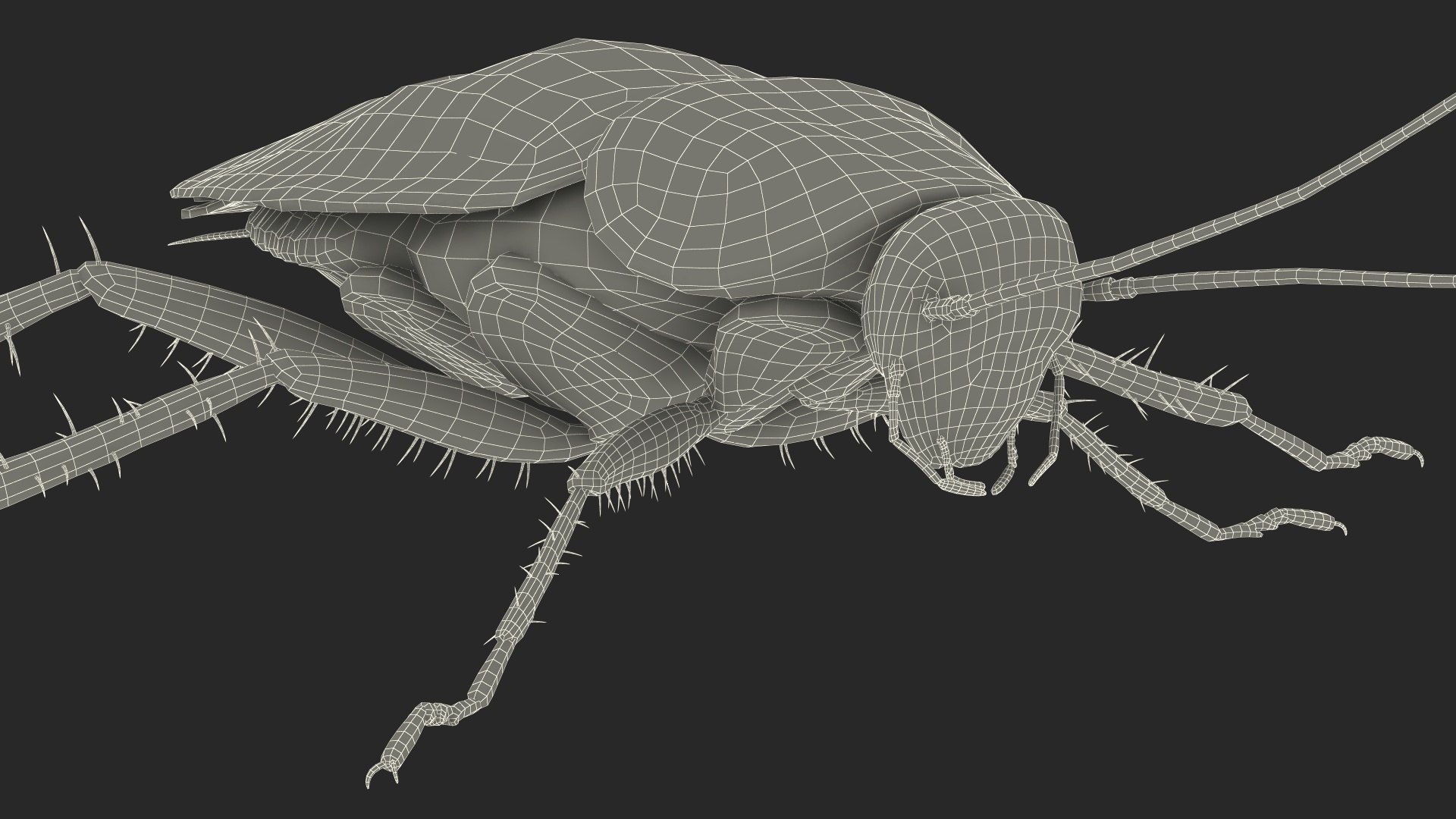 3D model Red Flying Cockroach Rigged for Maya https://p.turbosquid.com/ts-thumb/kd/Lfh03O/PJ/redflyingcockroachriggedformaya3dsmodel036/jpg/1685584199/1920x1080/fit_q87/d863e59d9cf874cff60a6985348bc57109b0ce8f/redflyingcockroachriggedformaya3dsmodel036.jpg