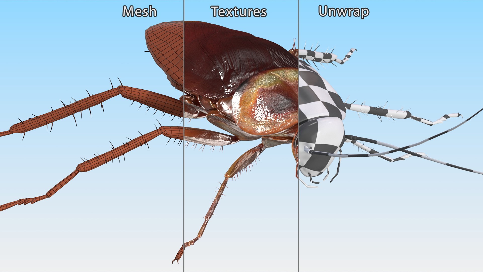 3D model Red Flying Cockroach Rigged for Maya https://p.turbosquid.com/ts-thumb/kd/Lfh03O/hV/redflyingcockroachriggedformaya3dsmodel025/jpg/1685584165/1920x1080/fit_q87/f3a36c33bfe201299aa9882c55b0250f1d2b7aa3/redflyingcockroachriggedformaya3dsmodel025.jpg