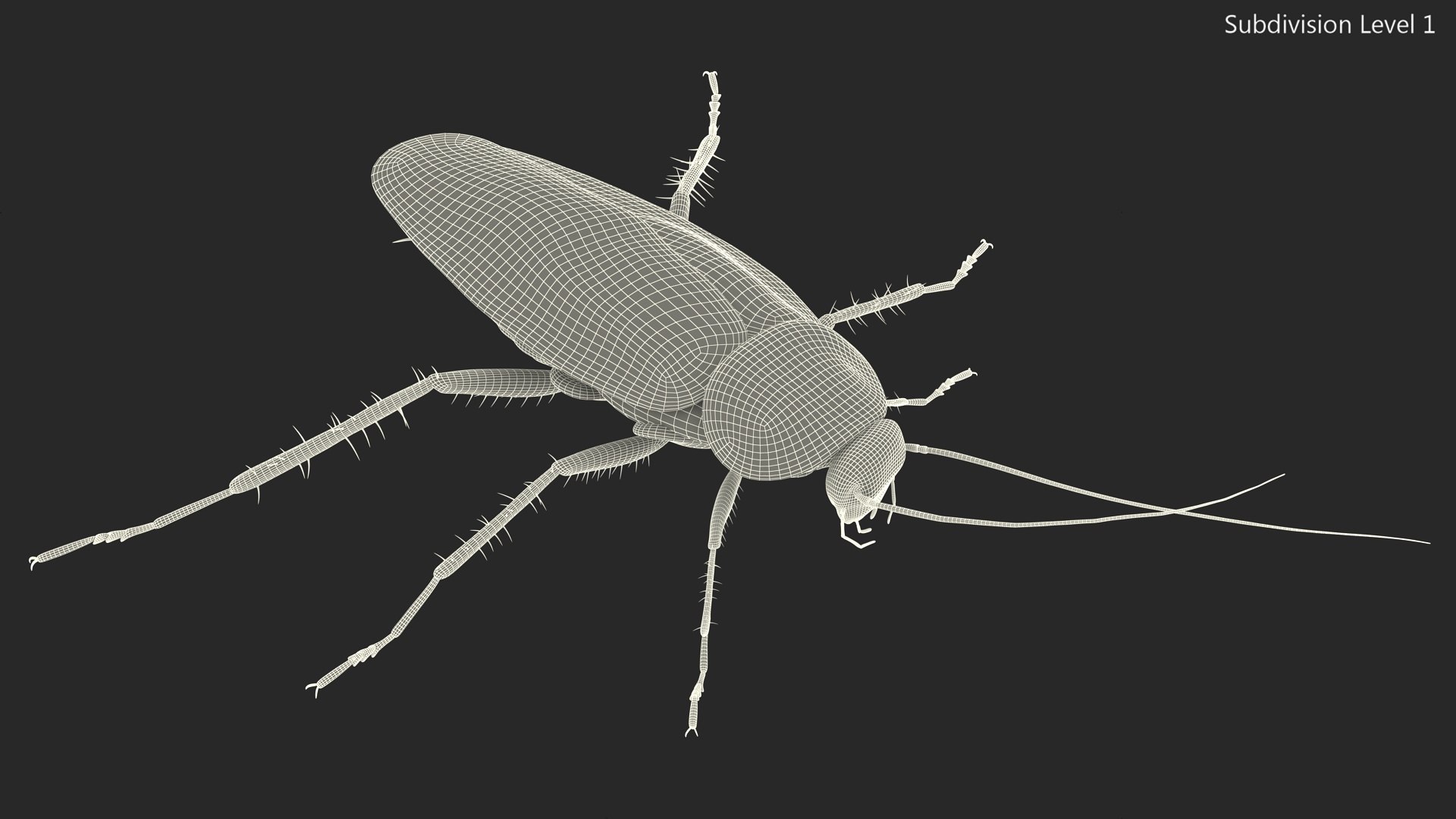 3D model Red Flying Cockroach Rigged for Maya https://p.turbosquid.com/ts-thumb/kd/Lfh03O/sB/redflyingcockroachriggedformaya3dsmodel027/jpg/1685584171/1920x1080/fit_q87/184f04032086a726e1e967a3490bb5a3e7d840ec/redflyingcockroachriggedformaya3dsmodel027.jpg