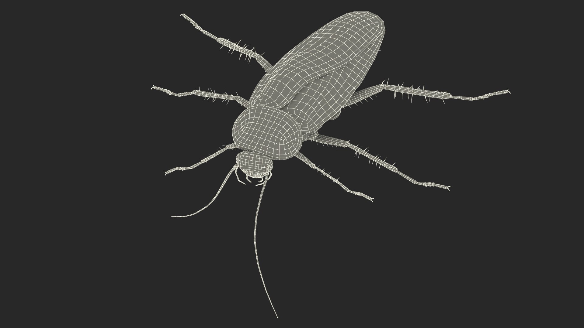 3D model Red Flying Cockroach Rigged for Maya https://p.turbosquid.com/ts-thumb/kd/Lfh03O/uI/redflyingcockroachriggedformaya3dsmodel031/jpg/1685584183/1920x1080/fit_q87/17db473ab05d9251671e71900da5c23dce5d8ee5/redflyingcockroachriggedformaya3dsmodel031.jpg