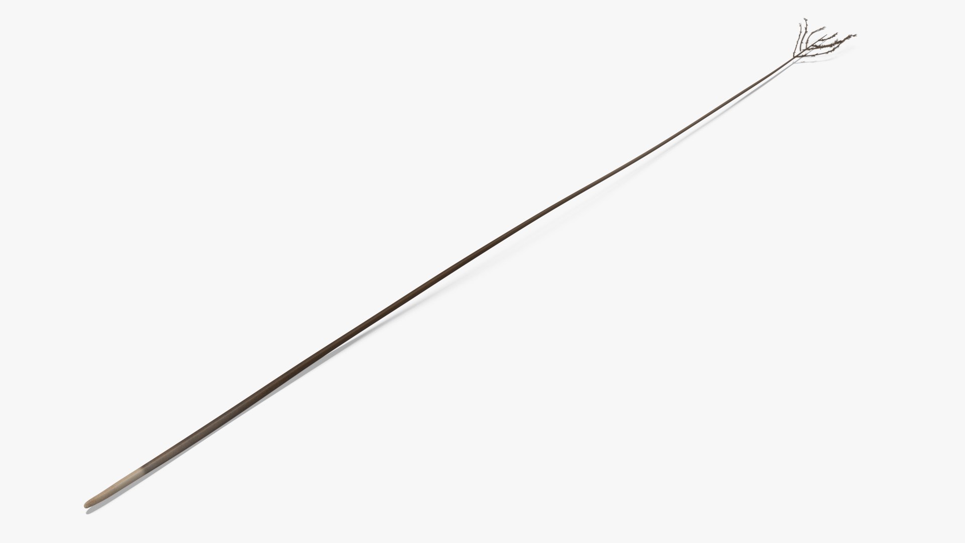 Naked Feather 3D model preview