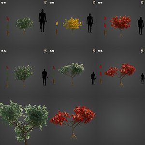 2021 PBR Staghorn Sumac Collection - Rhus Typhina 3D model