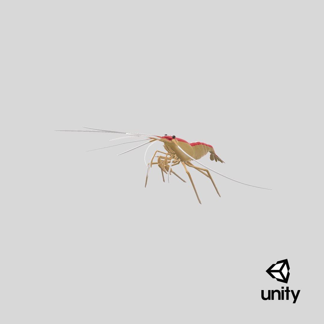 scarlet cleaner shrimp 3D https://p.turbosquid.com/ts-thumb/kd/Y4caUx/3S/stemcell_unity_render/png/1618672833/1920x1080/fit_q87/fbfb9b51701ed501a6121faf241ea76f951af5db/stemcell_unity_render.jpg