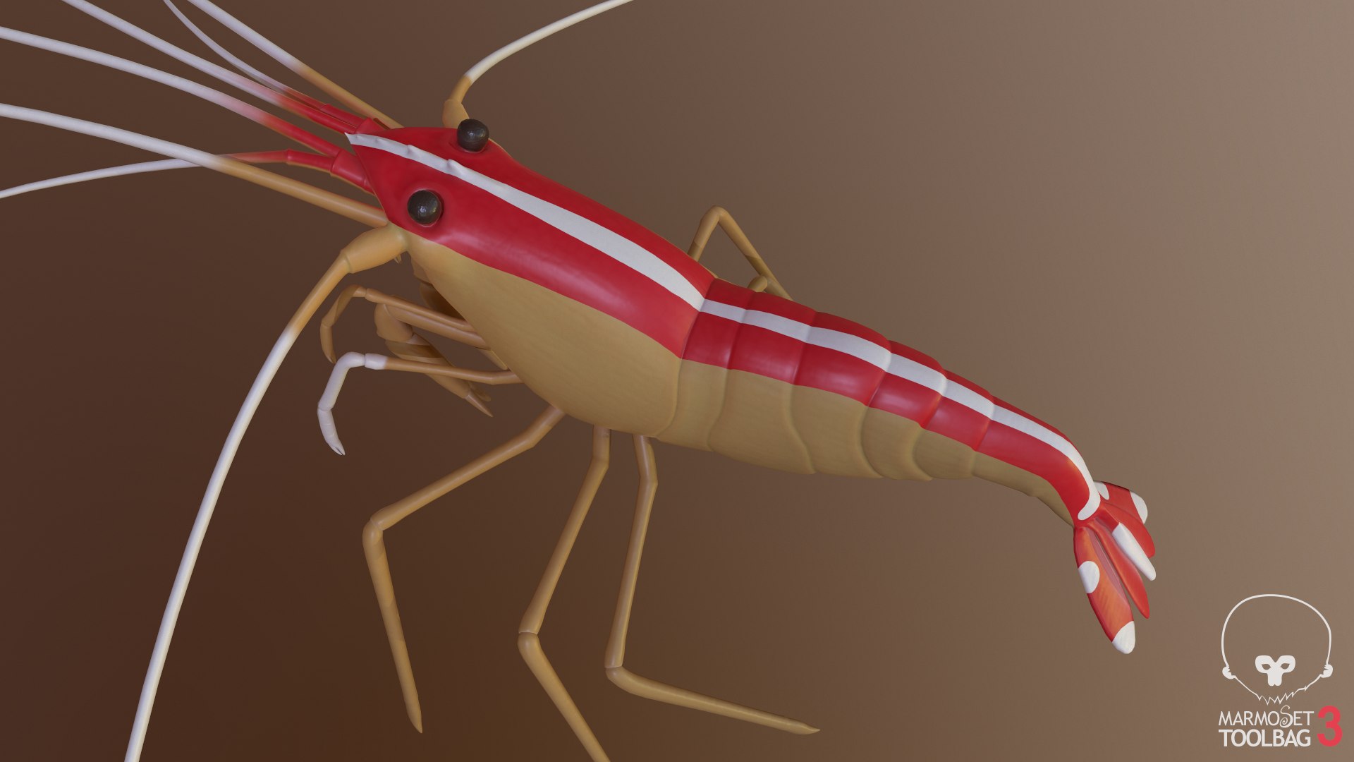 scarlet cleaner shrimp 3D https://p.turbosquid.com/ts-thumb/kd/Y4caUx/7HMuTp7Y/screenshot965/png/1573280356/1920x1080/fit_q87/140775b078c7e359f891f53bd538b85756b114d4/screenshot965.jpg