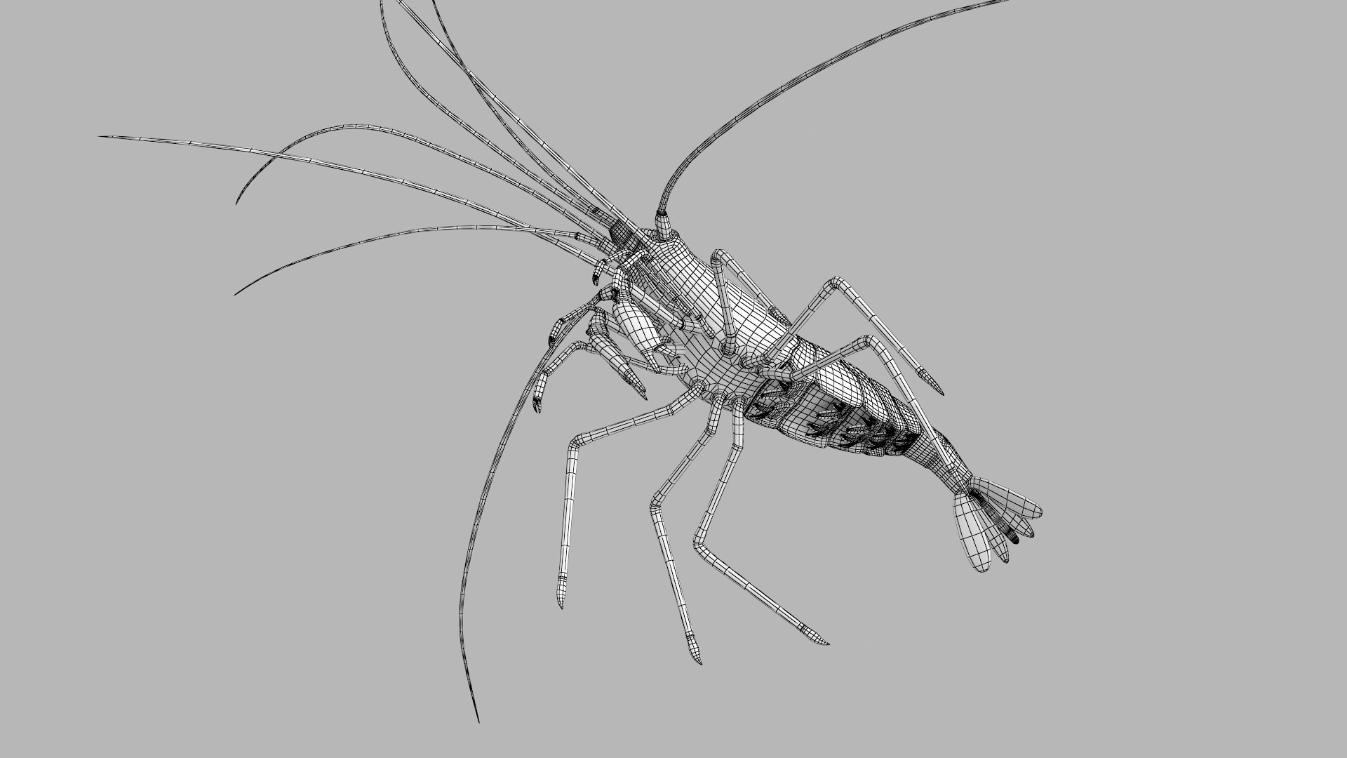 scarlet cleaner shrimp 3D https://p.turbosquid.com/ts-thumb/kd/Y4caUx/F29mwm7a/shrimp_r7w/png/1573280356/1920x1080/fit_q87/4c35cf0de7bc68ff4d898907487c1032969fabd9/shrimp_r7w.jpg