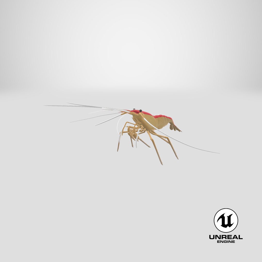 scarlet cleaner shrimp 3D https://p.turbosquid.com/ts-thumb/kd/Y4caUx/me/stemcell_unreal_render/png/1618672839/1920x1080/fit_q87/9e388db3061d87f676ec0aae7c5bb13e335e9dfb/stemcell_unreal_render.jpg
