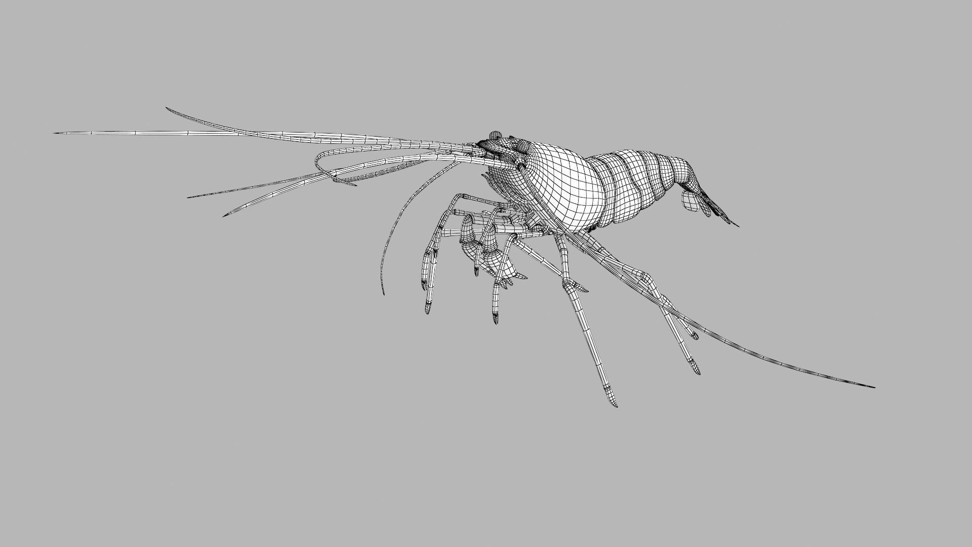 scarlet cleaner shrimp 3D https://p.turbosquid.com/ts-thumb/kd/Y4caUx/rFiU3ZSg/shrimp_r4w/png/1573280356/1920x1080/fit_q87/e2803efd6d103eabcc2a53cad803ea3fd8a7602a/shrimp_r4w.jpg