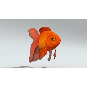 3D laos Goldfish model