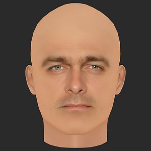 3D Low Poly Ray Stevenson Head
