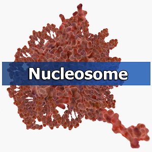 nucleosome protein organic max