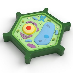Plant Cell v5 3D