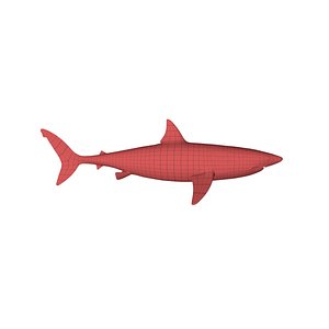 3d base mesh shark model