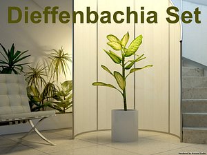 3d model dieffenbachia set