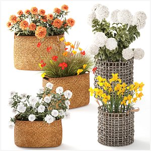 Hydrangea Peony Poppy Iris Flower Bushes Baskets garden model