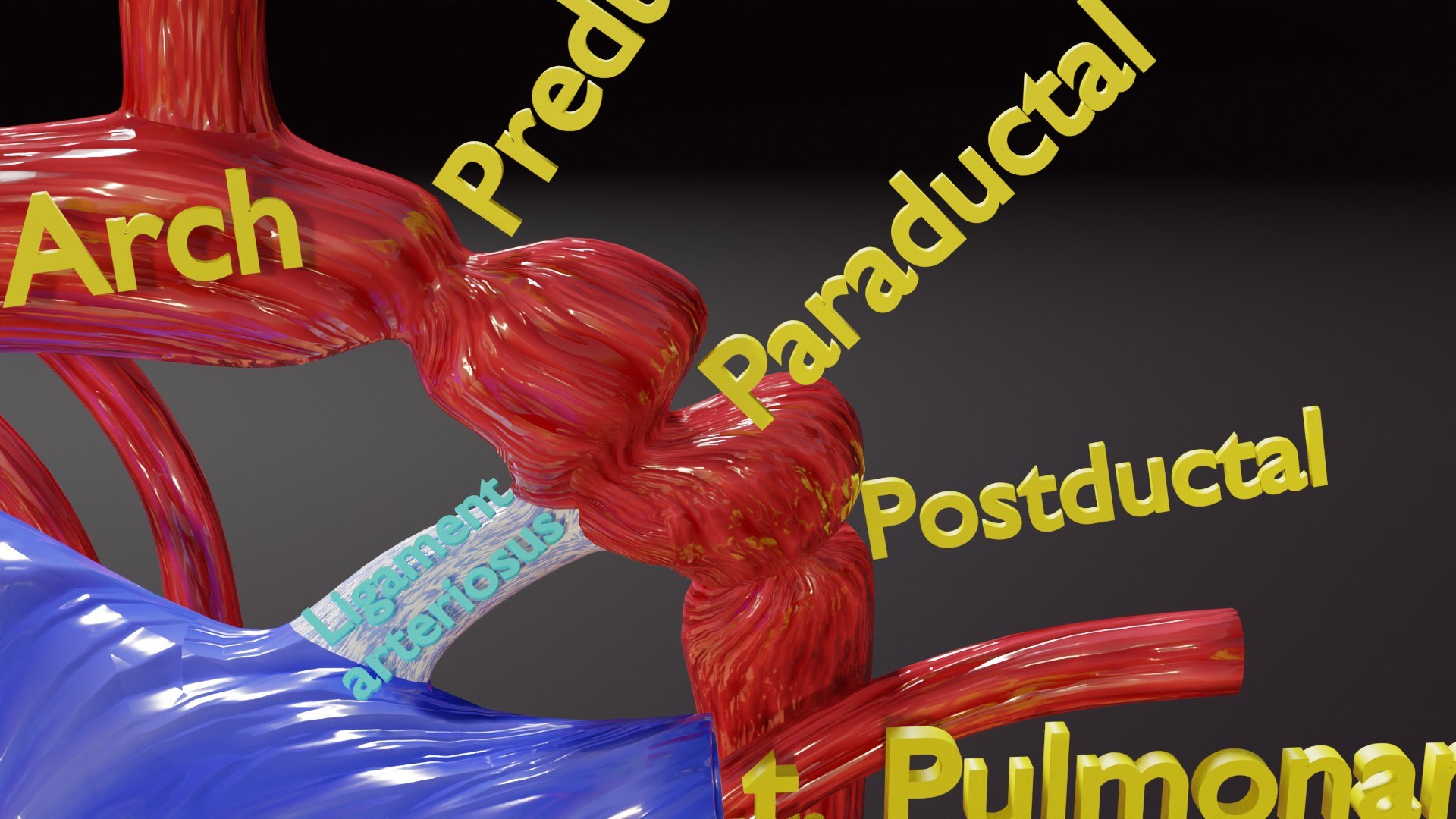 blend COA image 3D https://p.turbosquid.com/ts-thumb/ke/Wugl2y/3Q/ps0008/jpg/1716790706/1920x1080/fit_q87/74f6b920ef69f05383b0769623fa6eedd4010584/ps0008.jpg