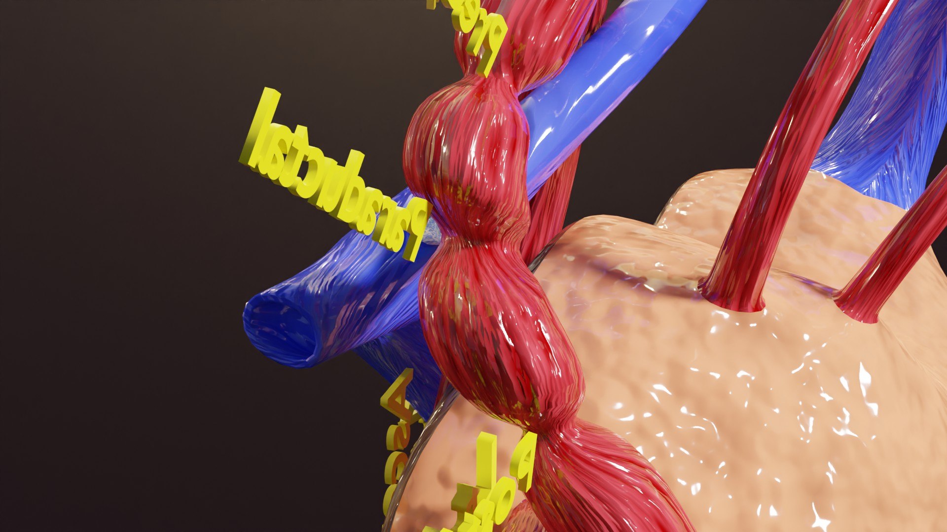 blend COA image 3D https://p.turbosquid.com/ts-thumb/ke/Wugl2y/3h/ps0011/jpg/1716790708/1920x1080/fit_q87/05ef4ee9dc8169dcba1955769c676ada20fd6aca/ps0011.jpg
