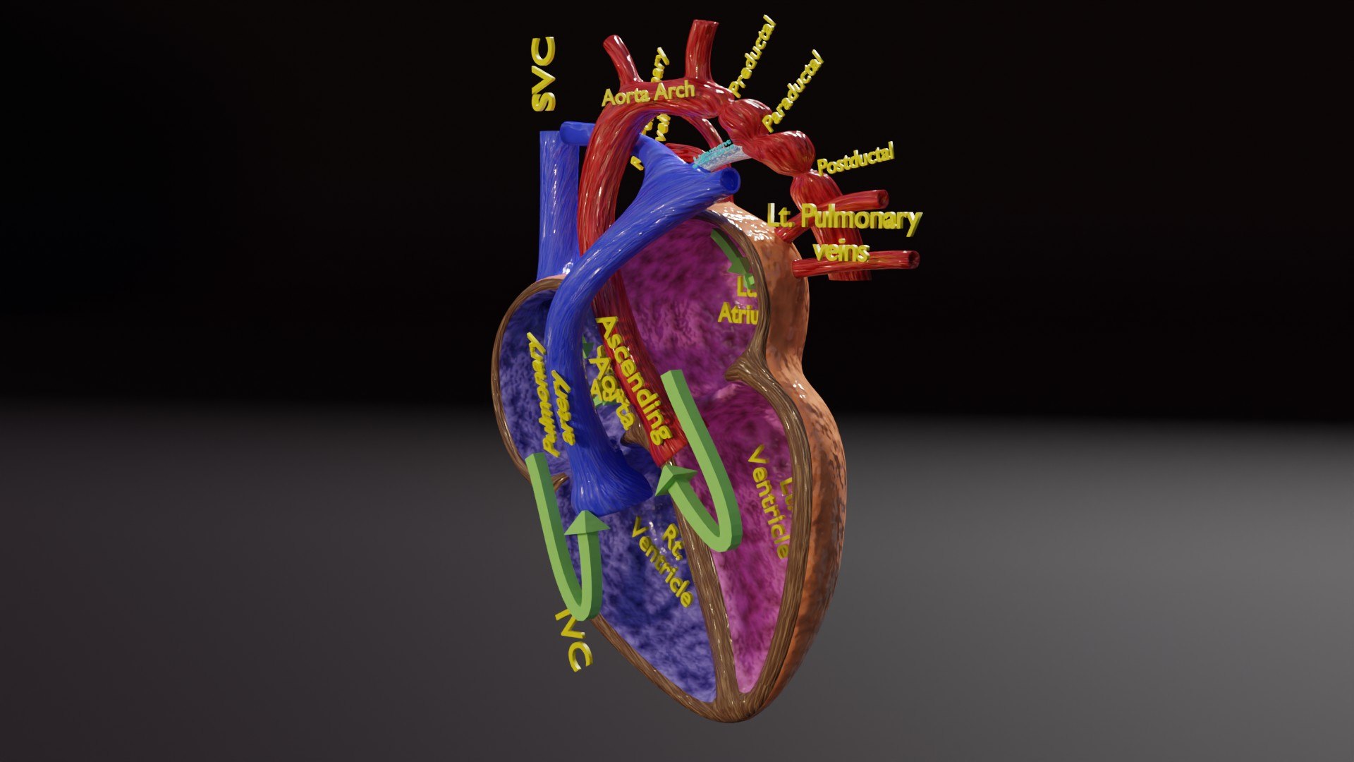 blend COA image 3D https://p.turbosquid.com/ts-thumb/ke/Wugl2y/CU/ps0004/jpg/1716790703/1920x1080/fit_q87/07c3765c15f89856e3666d2f8eb6623c84e4fceb/ps0004.jpg