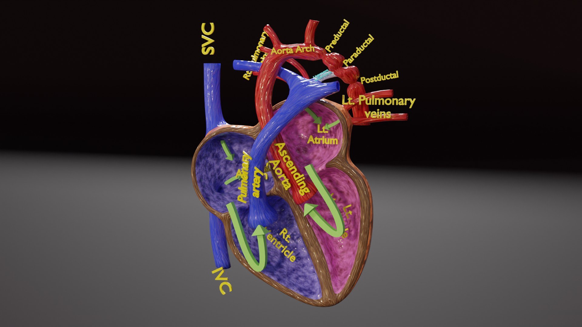 blend COA image 3D https://p.turbosquid.com/ts-thumb/ke/Wugl2y/Ok/ps0003/jpg/1716790703/1920x1080/fit_q87/2256c7e2dedfdc81c389fc25cee8029427ea6dc8/ps0003.jpg