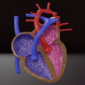 blend COA image 3D