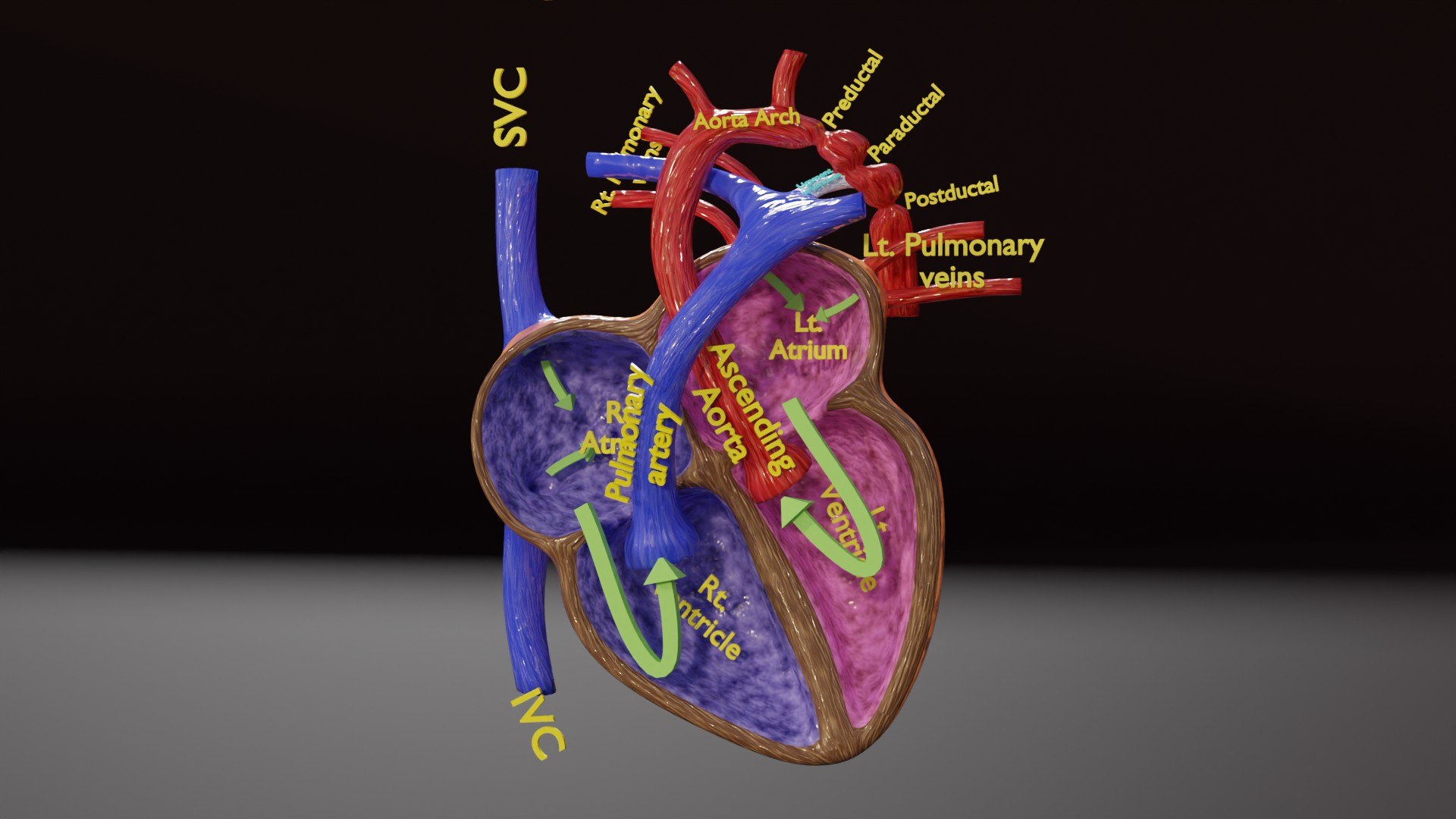 blend COA image 3D https://p.turbosquid.com/ts-thumb/ke/Wugl2y/sv/ps0002/jpg/1716790702/1920x1080/fit_q87/c3c2ac27a15517171136751559c29f80c86784b8/ps0002.jpg