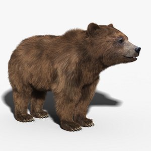 3d brown bear fur
