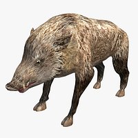 Boar Low Poly