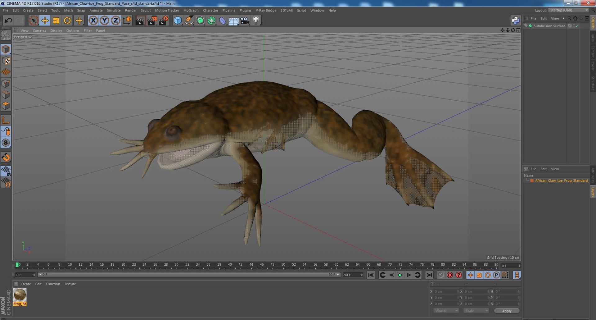 3D African Claw-toe Frog Standard Pose model https://p.turbosquid.com/ts-thumb/ke/zo6Ni7/MN/africanclawtoefrogstandardposemb3dmodel026/jpg/1695210218/1920x1080/fit_q87/6d0be95eb22fd4165d5dd2adcb4aed9811494533/africanclawtoefrogstandardposemb3dmodel026.jpg